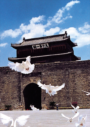 菏澤旅游景點大盤點！你不能錯過的景點推薦